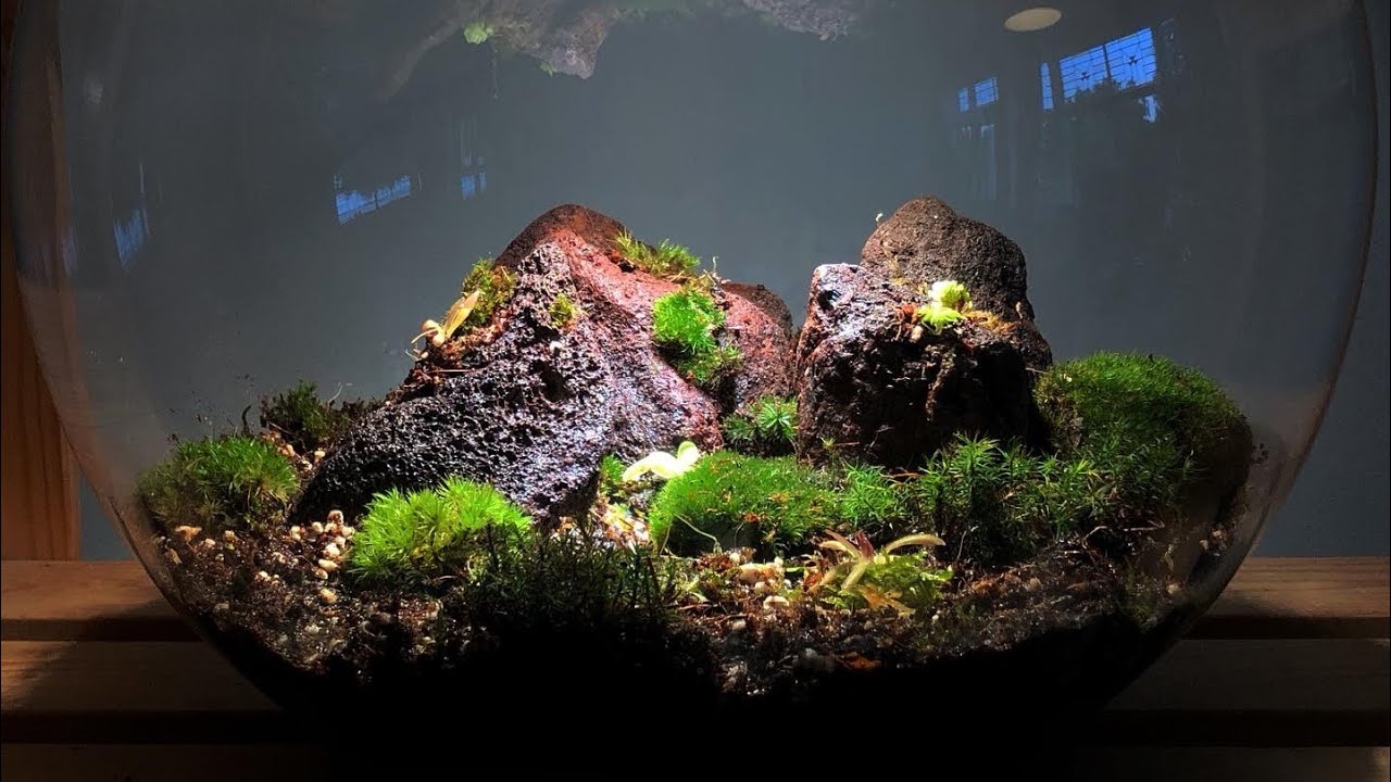 Building A Pingdom Youtube