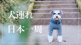 シュナウザーと行く犬連れ宮崎旅【日本一周】