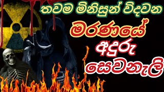 අදටත් ඇති මරණයේ අදුරු සෙවනැලි සත්‍ය කතාවකි. @පැරණිවතගොතoldhistory @tharindufernandokotiyaofficial