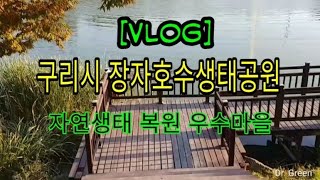 [Vlog] 구리시 장자호수생태공원 🌳 자연생태 복원 우수마을 🌼 고양이천국 🐱