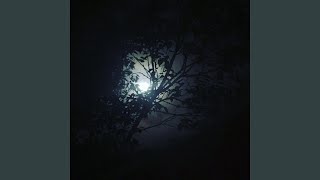 All Day & Night