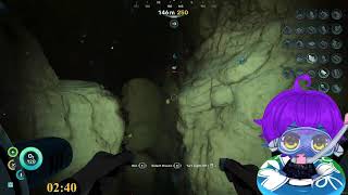 There's so much to do here.| 18+ !throne !discord