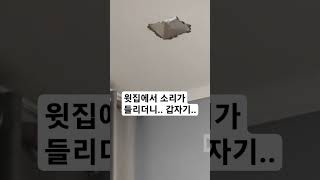 윗집에서 소리가 들리더니.. 갑자기 ㄷㄷㄷ