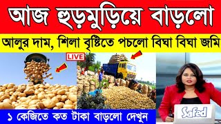 আজকের আলুর বাজার মূল্য | India Potato News West Bengal | Potato Price Today West Bengal