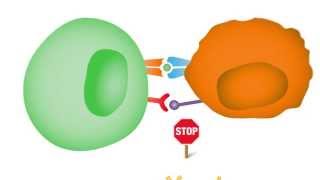 Checkpoint Inhibitors: Taking the Brakes Off the Immune System