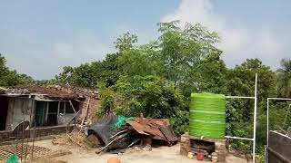 আমার পায়রার ঘর এর আপডেট।Update of my pigeon house.