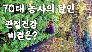 70대 남편 힘들고 어려운 농삿일 뭐든지 척척해 내는 이유는?  바로 이것 때문이죠