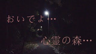 【心霊】4分50秒あたり注目！！断定はしないけどたぶんこれ幽霊撮れてる、ただ画質がゴミすぎて勿体なさすぎる(´・ω・`)【スピリットボックス】