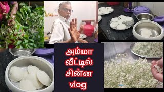 2days vlog amma வீடு vlog || அம்மா வீட்டில் சின்ன vlog || @Jmomskitchen