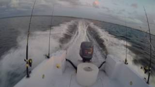 Angler 22 yamaha 150 hp