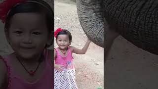 babygirl feeding elephant #elephant #kerala