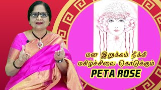 மன இறுக்கம் நீக்கி மகிழ்ச்சியை கொடுக்கும் PETA ROSE | ENERGYNESTS