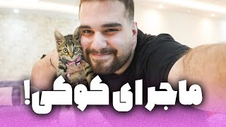 ماجرای کامل نجات گربمون!‌ پیداش کردیم؟ | ولاگ کوکی