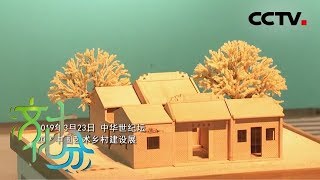 《文化十分》艺术修复乡村：找回乡村灵魂 重构乡村价值 20190418 | CCTV综艺