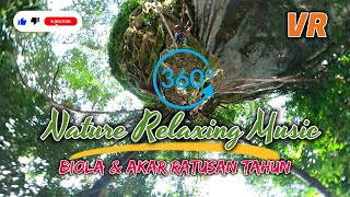 VR 360 Nature Relaxing Music | Biola dan akar pohon ratusan tahun.