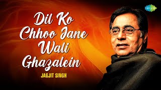 Dil Ko Chhoo Jane Wali Ghazalein | Dilwalo Kya Dekh Rahe Ho | Jagjit Singh Ghazals | Ghulam Ali