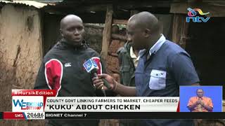 Indigenous chicken farming gaining popularity in Bomet county