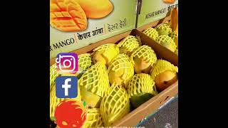 Mango Masters Of London, UK - We sell Indian Mango \u0026 Exotic Fruits in London