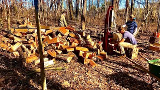 Firewood and tree management!