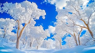 Winter Late December ❄️ Relaxing Music Eliminates Stress And Soothes The Soul ❄️ Gentle Yet