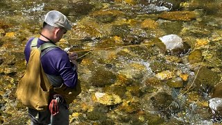 ショートバンブーで釣る、新緑の木曽川水系。