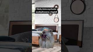 Kiedy żona wychodzi wydepilowana z kąpieli #shorts #funnyshorts #funnyvideo #funny #śmieszne #fun