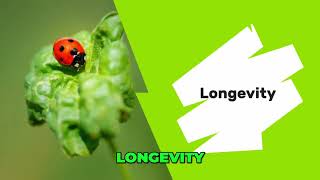 Fascinating Facts About Ladybugs From Colors to Cultural Significance