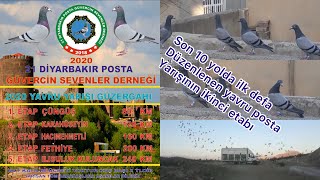 Yavru posta yarışı 120 km