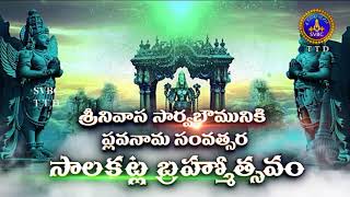 Simha Vahanam || Srivari Annual Brahmotsavam || 09-10-2021 || SVBCTTD