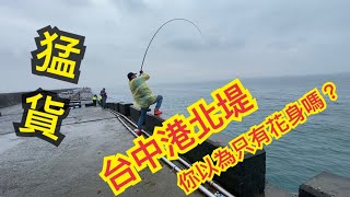 ［阿凱釣魚去］4/28直奔堤尾釣魚趣