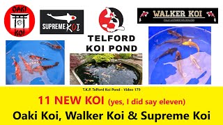 T.K.P. Telford Koi Pond - Video 179 - 11 NEW KOI from Oaki Koi, Walker Koi & Supreme Koi #koi #fish