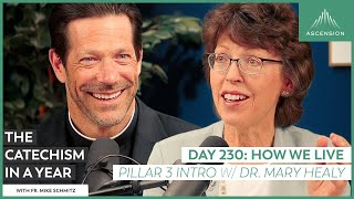 Day 230: How We Live (Part 3 Introduction with Dr. Mary Healy)