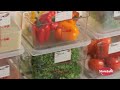 boost your kitchen’s safety u0026 efficiency with cambro storesafe labeling tips