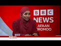 bbc afaan oromoo turtii obbo jawaar mohammed wajjiin jawarmohamed