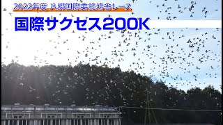 22年度八郷国際鳩舎・国際サクセス200K帰還の様子