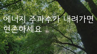 에너지 주파수를 올리는 현존 명상 ㅣ 우울할 때 힘들고 괴로울 때