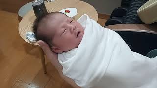 [소망백과]신생아 소망이가 운 이유는?😅 (생후12일)Newborn Baby Girl