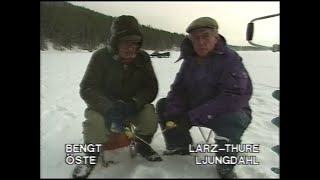 Visst Nappar Det (SVT 1993-03-07)