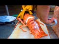 Thai Street Food: $150 GIANT RAINBOW LOBSTER | Bangkok, Thailand