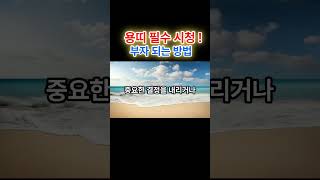 용띠 필수 시청! 부자 되려면 이 색깔만 피하세요 - 2025년 운세 대공개! #운세 #재물운