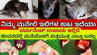 ನಿಮ್ಮ ಮನೇಲಿ ಇಲಿಗಳ ಕಾಟ ಇದೆಯಾ! 😨ಇದೊಂದೇ ಉಪಾಯ, | Get Rid of Mouse | Kitchen Tips | How to get rid of rat