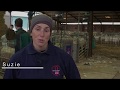 British Wool - Shearing training - Suzy's story