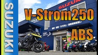 スズキ　Vストローム250 ABS  新型 レビュー＆キャンペーン紹介！【MFD神戸店新型車両紹介】