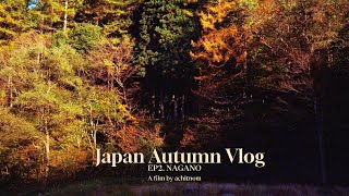 #003 Achitnomvlog｜Driving through fall foliage in Nagano, second episode of Japan Autumn 2024 Series