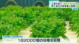 大田区　鉄工会社が“野菜の栽培”に挑戦