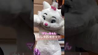 キャラグリーティングin東京ディズニー #2023 #cat #disney #cute #youtubeshorts #shorts #summer #travel #tokyo #love