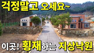 몸만 오세요.여긴 횡재하는 지상낙원~ 돈,직장 걱정없이 모든 걸 갖췄다! 잣나무 숲속 역대급 전원마을! 하지만 가격은 헐값~