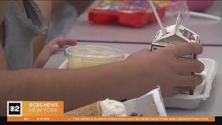 New York kids can access free summer meals with just a text