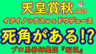 天皇賞秋2023コース形態から考えるイクイノックスとドウデュースの死角はあるのか検証してみた！