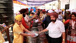 Food and water for free at a Gurdwara in Majnu ka Tilla, Delhi